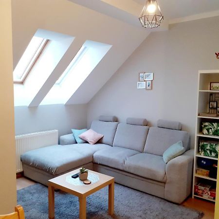 Apartament Kaktus 므랑고보 외부 사진